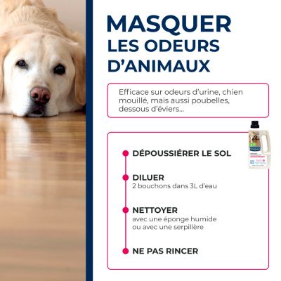 Nettoyant désinfectant surodorant sols et multi-usages Starwax 1L