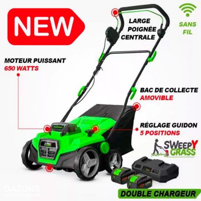 NEW LIBERTY Brosse "Aspirante" Électrique Sans Fil pour Gazon Synthétique (CHARGEUR DOUBLE)