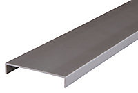 Nez de cloison aluminium alu 10 x 74 mm L.2,6 m