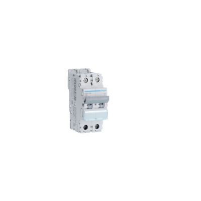 Ngn216 Hager - Disjoncteur 2p Courbe D - 16a - 6-10ka - Ngn - Bornes Alignées à Vis - 2 Modules