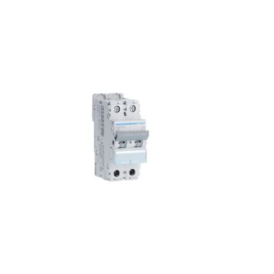 Ngn232 Hager - Disjoncteur 2p Courbe D - 32a - 6-10ka - Ngn - Bornes Alignées à Vis - 2 Modules