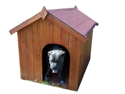 Niche à chien 1,17m² en bois avec toit bitumé et plancher Habrita