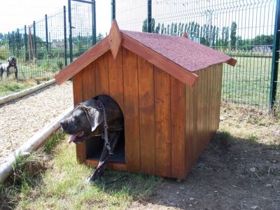 Niche pour petit chien 0,77m² en bois avec toit bitumé et plancher Habrita