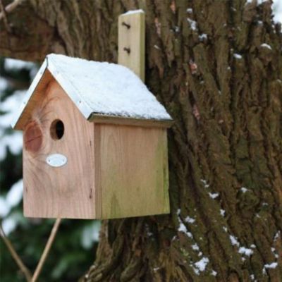 Nichoir mésange bleu pour oiseaux - Esschert Design