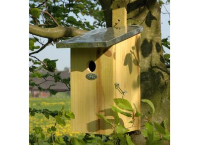 Nichoir observatoire pour oiseaux - Esschert Design