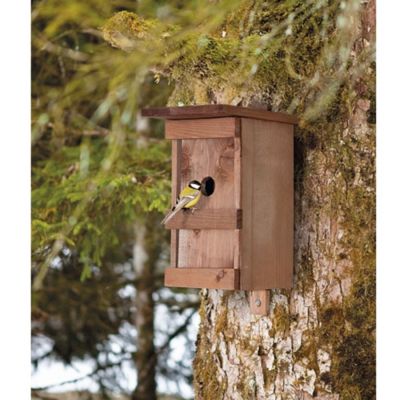 Nichoir à oiseaux en bois massif verni