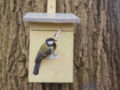Nichoir pour oiseaux mésange charbonniere avec toit en zinc- Esschert Design