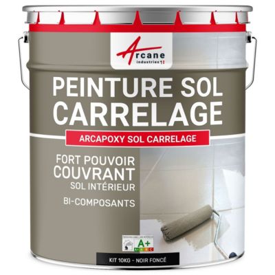 Noir foncé  RAL 9005 - 10 kg (jusqu'à 50 m² en 2 couches) - ARCANE INDUSTRIES