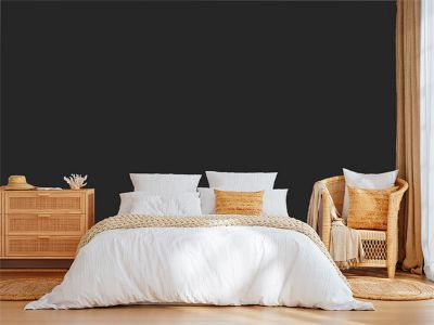 Noir Peinture interieur aspect mat Natura - Noir - 1L