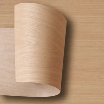 Nordlinger Pro Placage Chêne 0,25 cm x 250 cm Thermocollant 510001 Revêtement décoratif