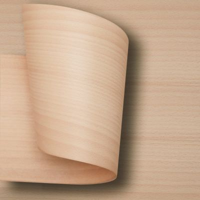 Nordlinger Pro Placage HÊTRE 25 cm x 250 cm Non encollé Revêtement décoratif