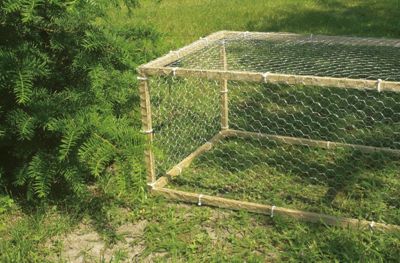 Nortene Grillage métal galvanisé triple torsion 4,1cm - 1 x 10m