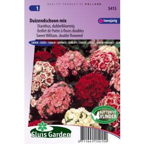 Oeillet de Poète à fleurs doubles Mix - Graines De Fleurs Bisannuelles - Ca. 0,6 g