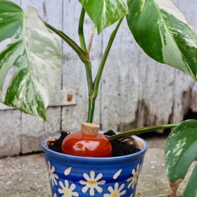Olla Galet 15 cl Caramel Arrosage Autonome Terre Cuite Microporeuse Fabrication Française Artisanale