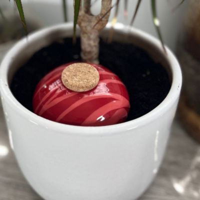 Olla Galet 15 cl Cerise Arrosage Autonome Terre Cuite Microporeuse Fabrication Française Artisanale