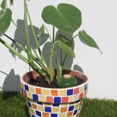 Olla Galet 15 cl Vert Arrosage Autonome Terre Cuite Microporeuse Fabrication Française Artisanale