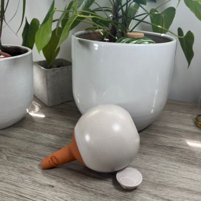 Olla à Planter Glam Blanc Ivoire 40 cl