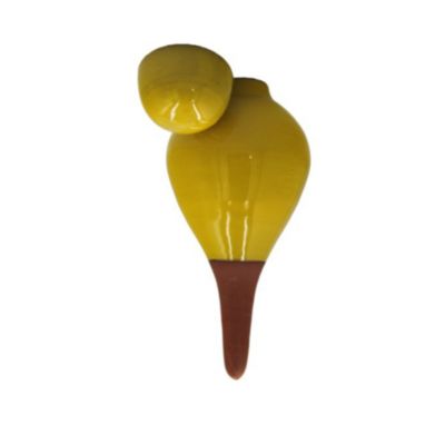 Ollas sabeur jaune citron arrosage autonome