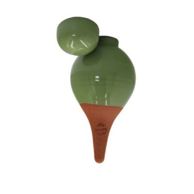 Ollas sabeur pistache arrosage autonome