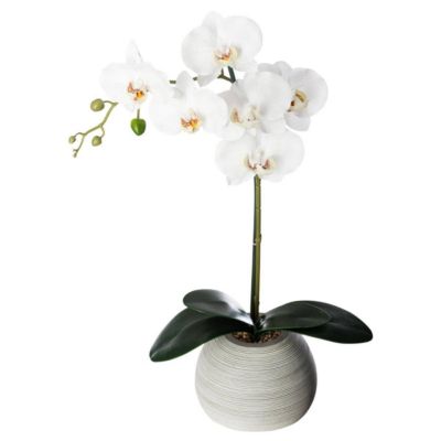 Orchidée artificielle - pot en ciment - H53 cm - Atmosphera