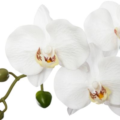 Orchidée artificielle - pot en ciment - H53 cm - Atmosphera