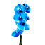 Orchidée papillon bleue 1 tige, 12cm