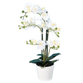 Orchidée Phalaenopsis Artificielle en pot