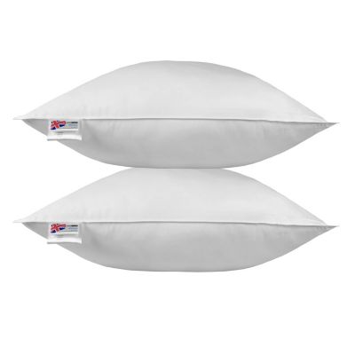 Oreiller en plumes de canard 80 x 80 cm - lot de 2 - HOMESCAPES