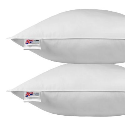 Oreiller en plumes et duvet d'oie 80 x 80 cm - lot de 2 - HOMESCAPES