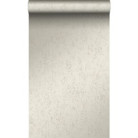 Origin Wallcoverings papier peint plaque métallique vieillie, altérée et touchée par les intempéries argent chaud - 53 cm x 10,05