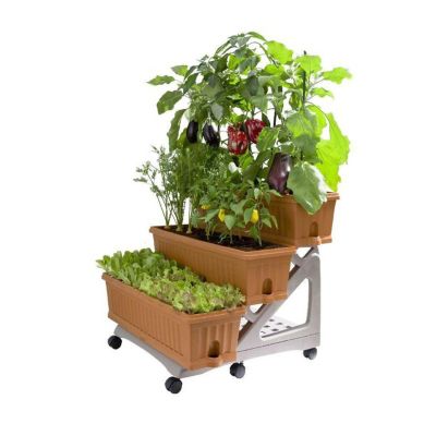 Orto Easy - Lot de 3 jardinières avec chariot - Tenné