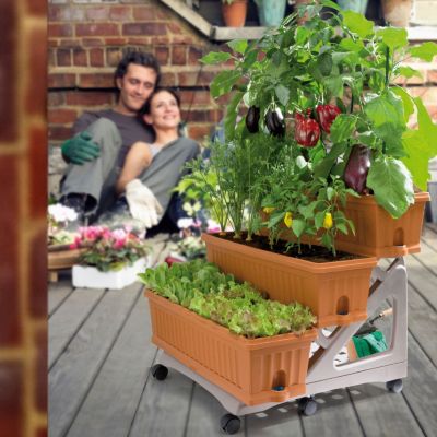 Orto Easy - Lot de 3 jardinières avec chariot - Tenné