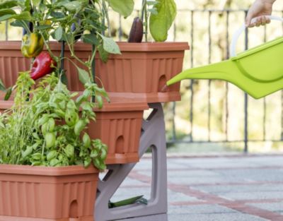 Orto Easy - Lot de 3 jardinières avec chariot - Tenné