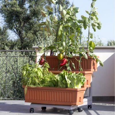 Orto Easy - Lot de 3 jardinières avec chariot - Tenné