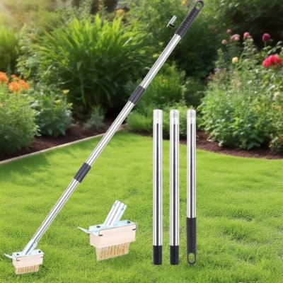 Outil de désherbage pour terrasse, brosse d'élimination de la mousse avec manche de 120 cm, outil de désherbage manuel
