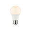 Pack 10 ampoules LED E27 Diall 8W Blanc chaud