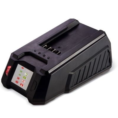 Pack 2 Batteries 40V 2.5 Ah + Chargeur 40V Indicateur de charge Compatibles Outils jardin 40V WARRIOR