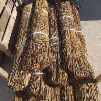 Pack 20 bottes de roseau africain -Longueur 1,50 m