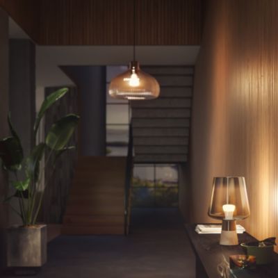 Pack 3 ampoules LED connecté Philips Hue Bluetooth A60 E27 880lm 9W 60W blanc chaud