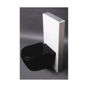 Pack complet WC suspendu noir mat 36x55x35cm (LxPxH) + Module sanitaire Blanc 48x11x100xm (LxPxH) - Garantie 5 ans