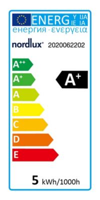 Pack de 2 ampoules E27 40W Edison ambré Nordlux