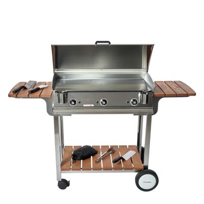 Plancha Electrique Castorama