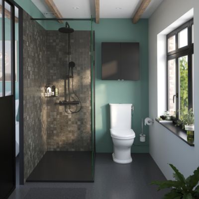 Pack WC à poser sans bride à sortie horizontale avec abattant déclipsable et frein de chute, GoodHome Endell