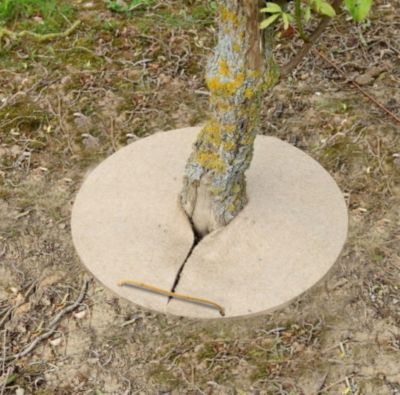 Paillage de chanvre forme ronde Ø30 cm