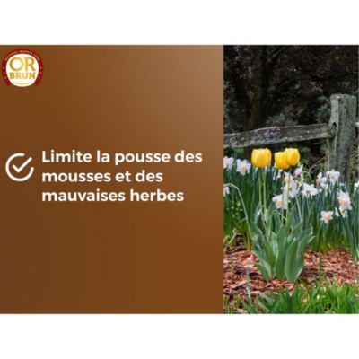 Paillage pour massifs et fleurs Or Bun 6L