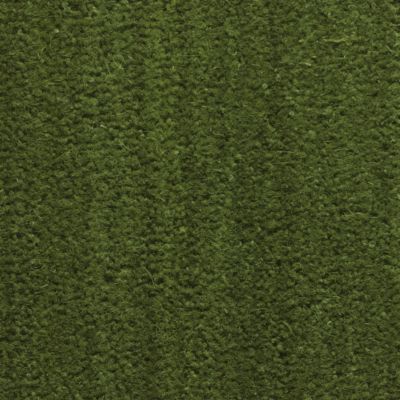 Paillasson Coco - Vert - Ep, 17 mm - Rouleau de 2m x 11m