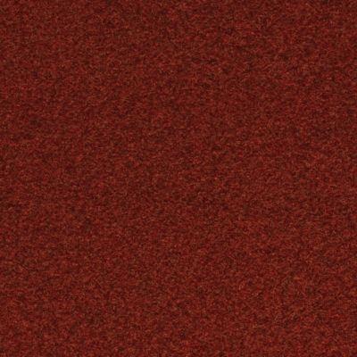 Paillasson synthétique pas cher - Rouge - 2m x 19m