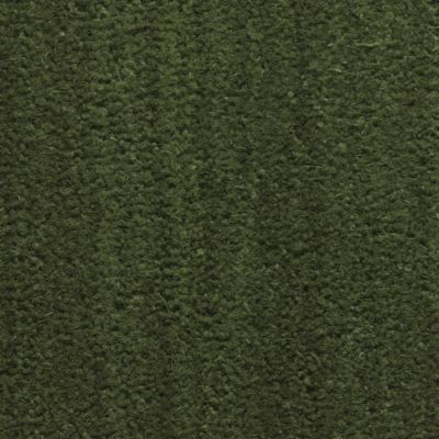 Paillasson - Tapis brosse Coco - Vert - Ep, 17mm - Rouleau de 2m x 9m