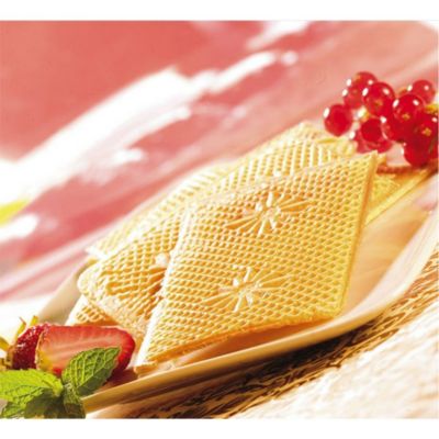 Paire de plaque pour gaufrettes super 2 gaufres Lagrange 030222