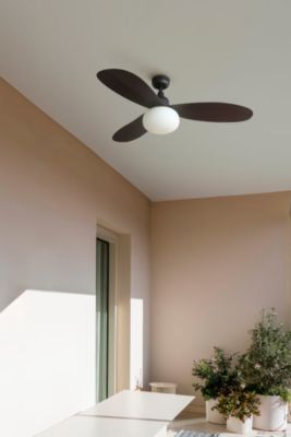 PALMA M Ventilateur de plafond marron IP44 E27